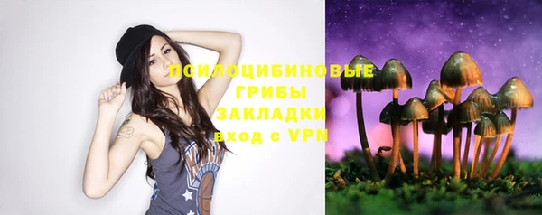 СК Краснослободск