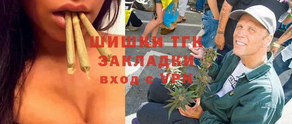 СК Краснослободск