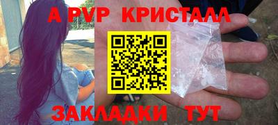 стафф Донецк
