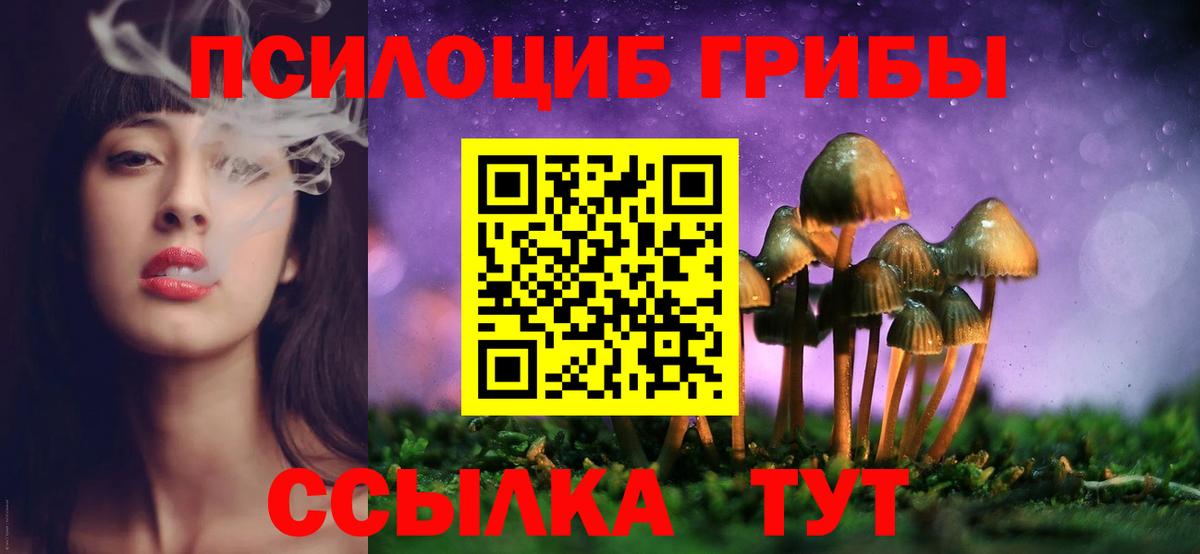 Галлюциногенные грибы MAGIC MUSHROOMS  Псилоцибиновые грибы ЛСД  Малоярославец 