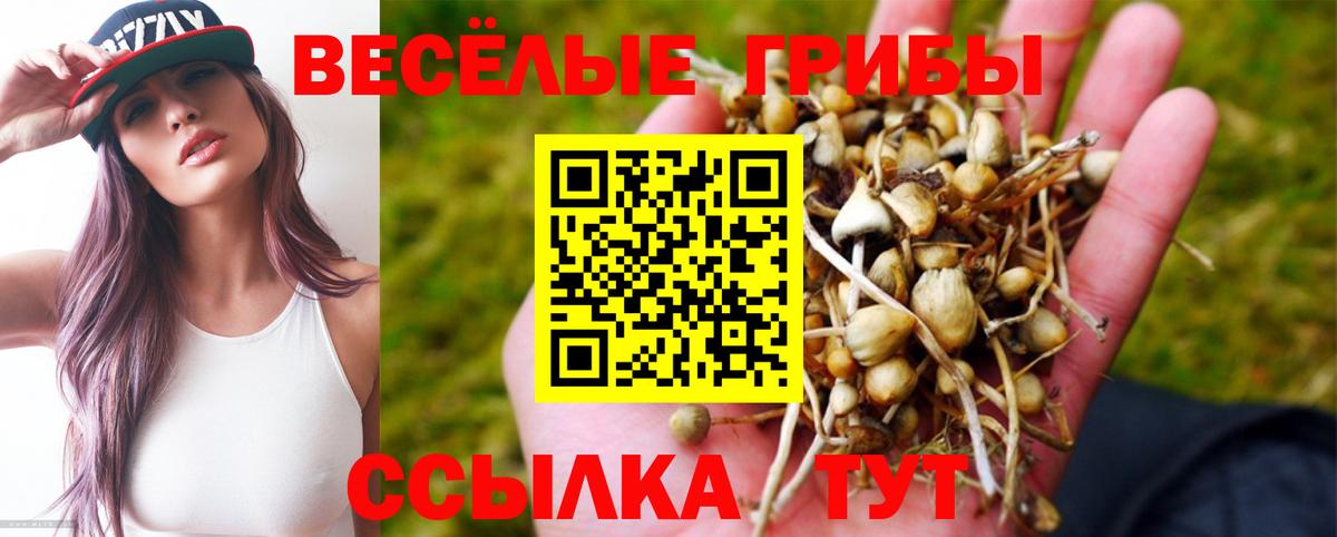 Псилоцибиновые грибы ЛСД  Вход с VPN  Малоярославец 